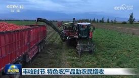 丰收时节 特色农产品助农民增收2025-08-19_19_25_23.jpg