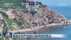 [视频]我国乡村产业振兴呈现良好势头_2025-08-21_19_36_15.jpg