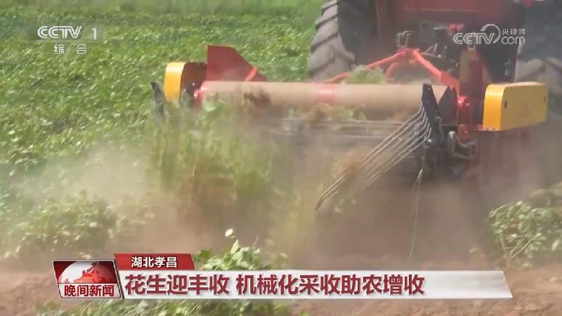 [视频]秋天的收获_2025-08-25_22_32_53.jpg