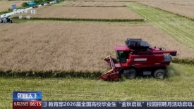 我国今年秋冬种种子供应有保障.jpg