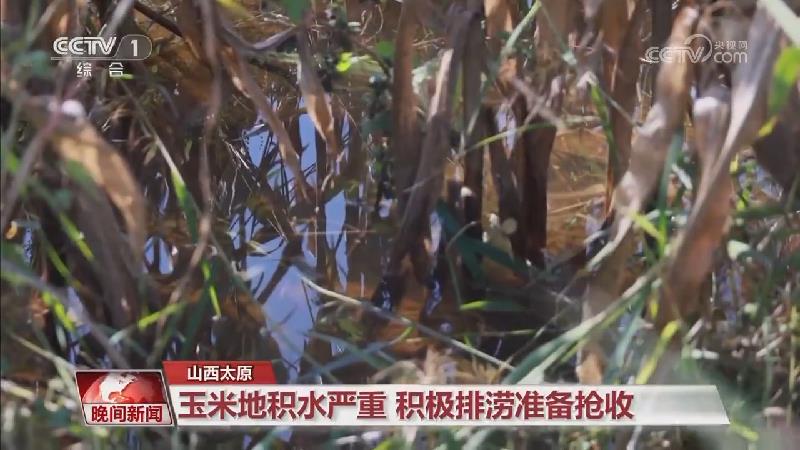 [视频]多措并举抢收抢烘_全力守护秋粮_2025-10-13_22_25_36.jpg