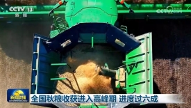 [视频]全国秋粮收获进入高峰期_进度过六成_2025-10-15_19_23_42.jpg