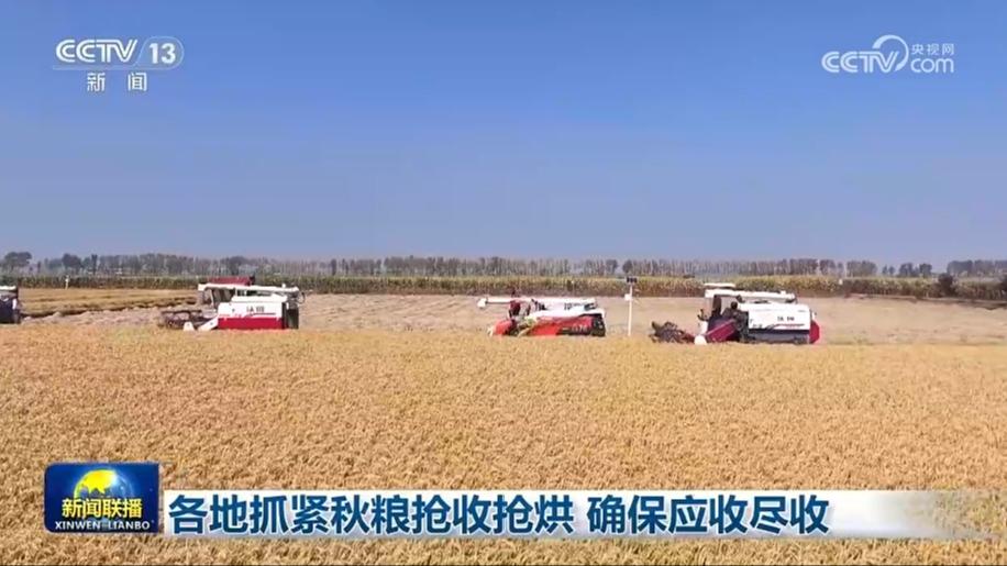 [视频]各地抓紧秋粮抢收抢烘_确保应收尽收_2025-10-18_19_21_40.jpg