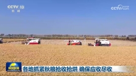 [视频]各地抓紧秋粮抢收抢烘_确保应收尽收_2025-10-18_19_21_40.jpg