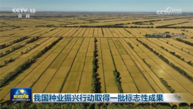 [视频]我国种业振兴行动取得一批标志性成果_2025-10-25_19_22_08.jpg