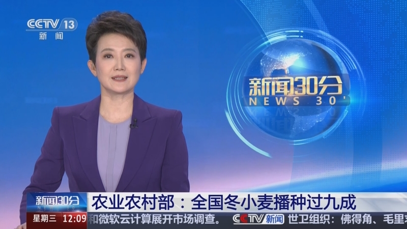 [新闻30分]农业农村部,全国冬小麦播种过九成_2025-11-19_12_13_38.jpg