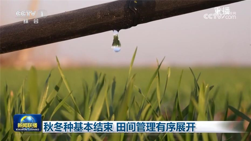 [视频]秋冬种基本结束_田间管理有序展开_2025-12-01_05_44_05.jpg