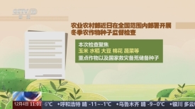 [新闻直播间]农业农村部_部署开展冬季农作物种子监督检查_2025-12-04_11_08_11.jpg