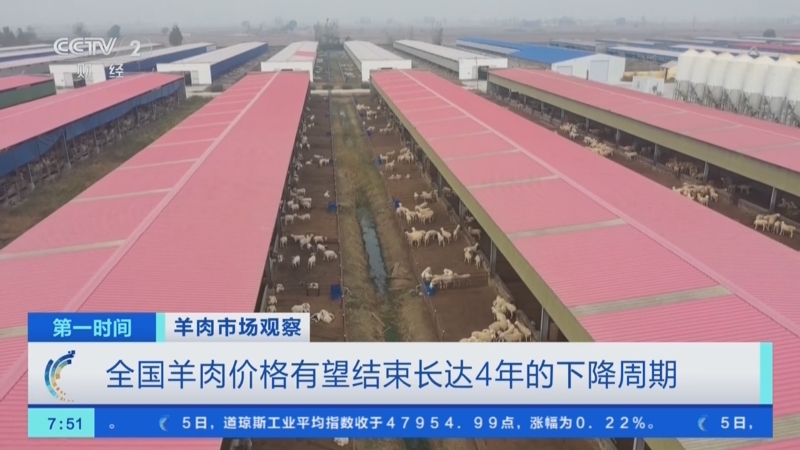 [第一时间]羊肉市场观察_全国羊肉价格有望结束长达4年的下降周期_2025-12-06_08_31_44.jpg
