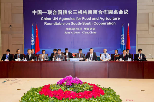 中国—联合国粮农三机构南南合作圆桌会议在西安召开