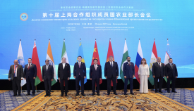 附件.jpg