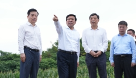 附件.png.jpg