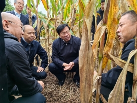 微信图片_20251009195208_35_7(1).jpg
