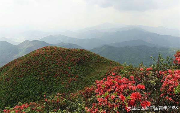 2白竺婆婆岩.jpg