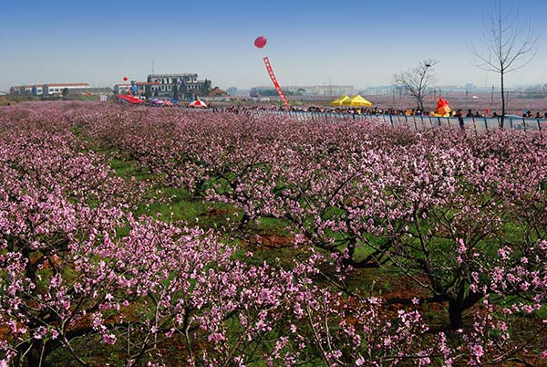 桃花驿小镇旅游风景区图片