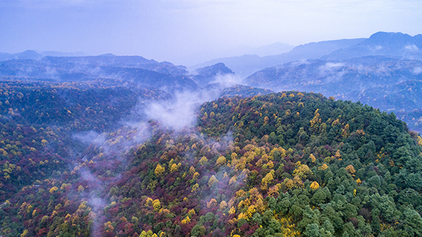 小草坝红叶 3.jpg