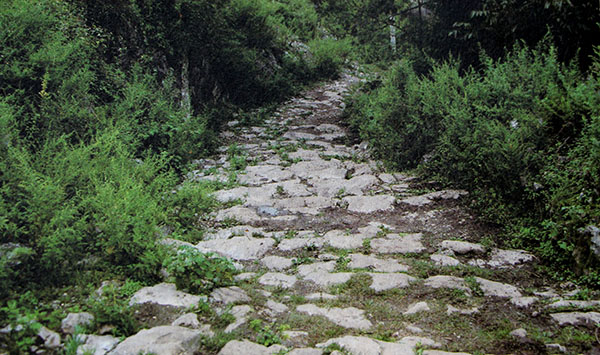茶马古道.jpg