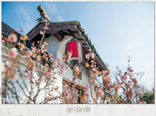 尚田雪018.jpg