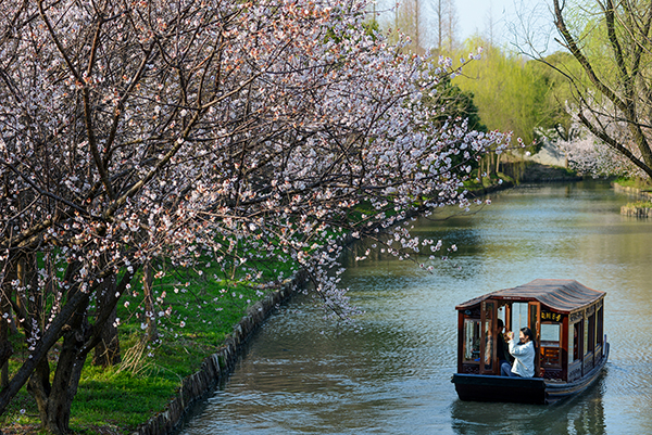 同里湿地公园（水上森林）.jpg