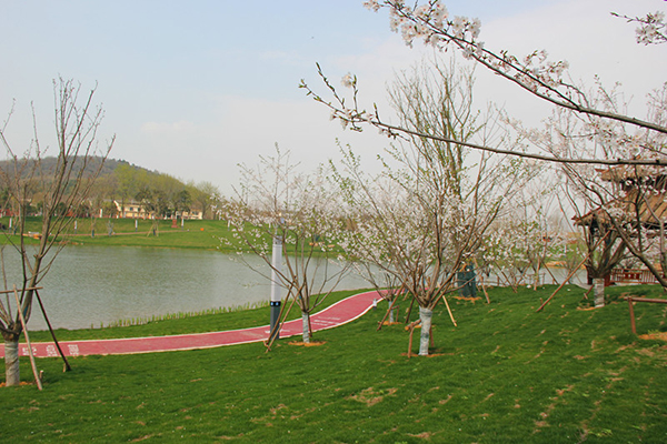 金乌温泉公园-步道.jpg
