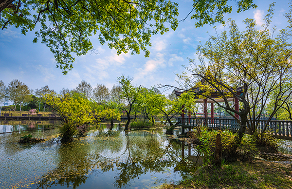马新河春色.jpg