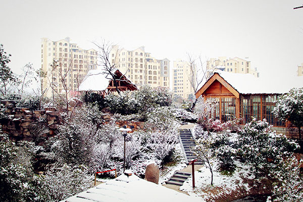 冬雪美景1.jpg