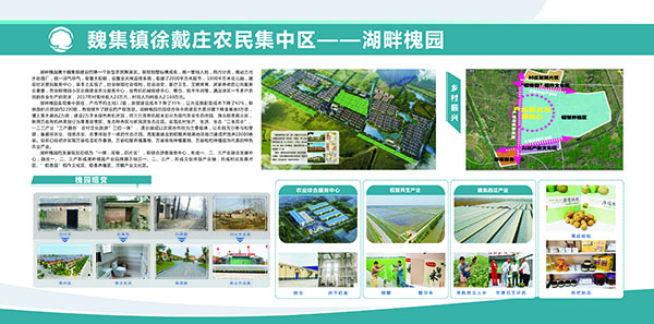 湖畔槐园-槐园嬗变.jpg