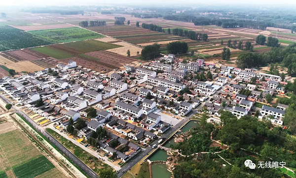 鲤鱼山庄鸟瞰图.png