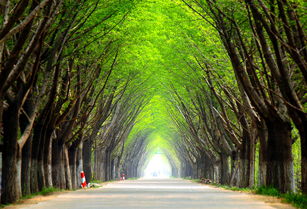 时光隧道-春.jpg