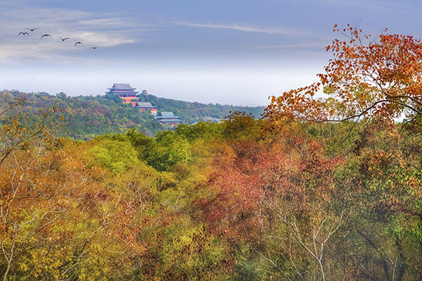艾山寺庙远景.jpg