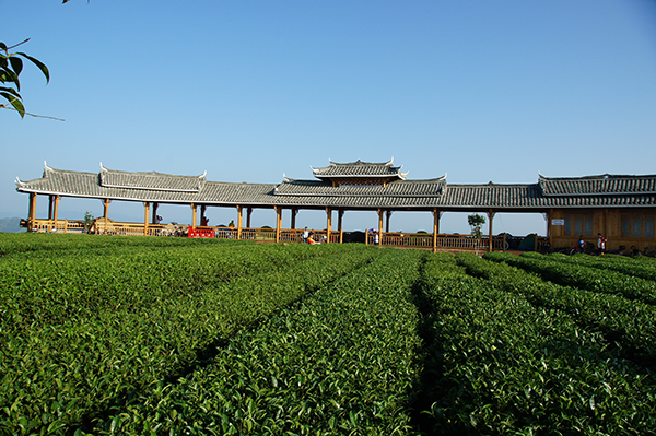 布央茶场核心区.JPG
