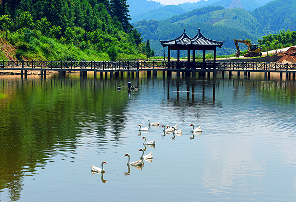 西溪湿地公园DSC_5180.jpg