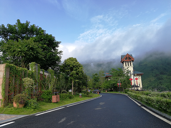 云雾中的西溪森林温泉村.jpg