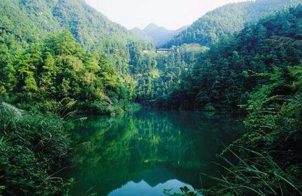 四明山风光4.jpg