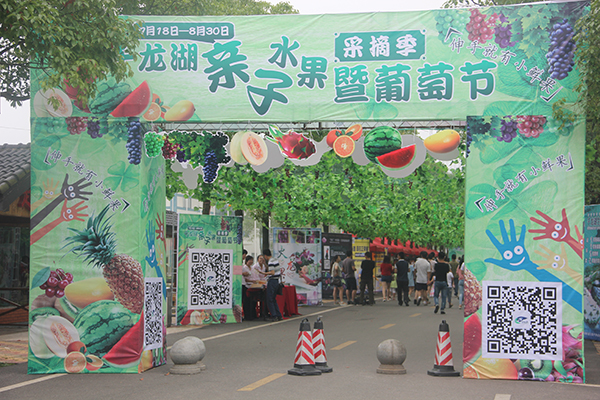 千龙湖亲子水果采摘记.JPG