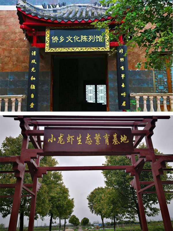 天湖野荷文化拓展区.jpg