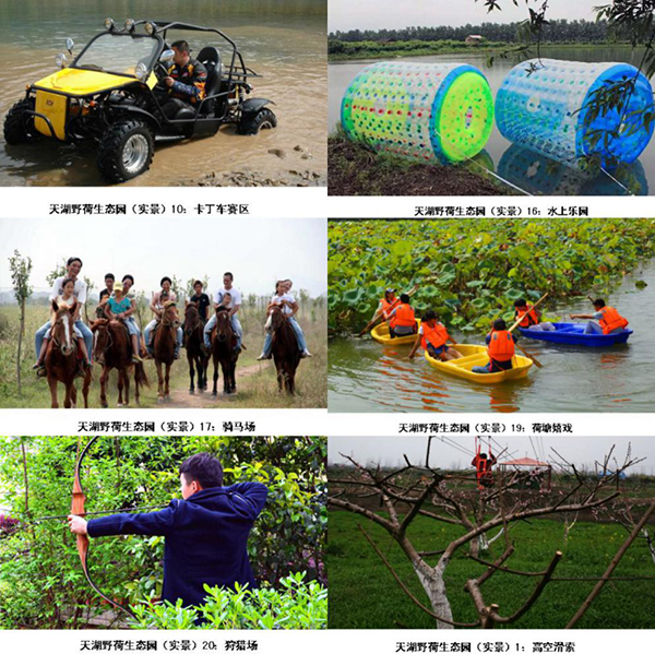 天湖野荷园趣玩项目.jpg
