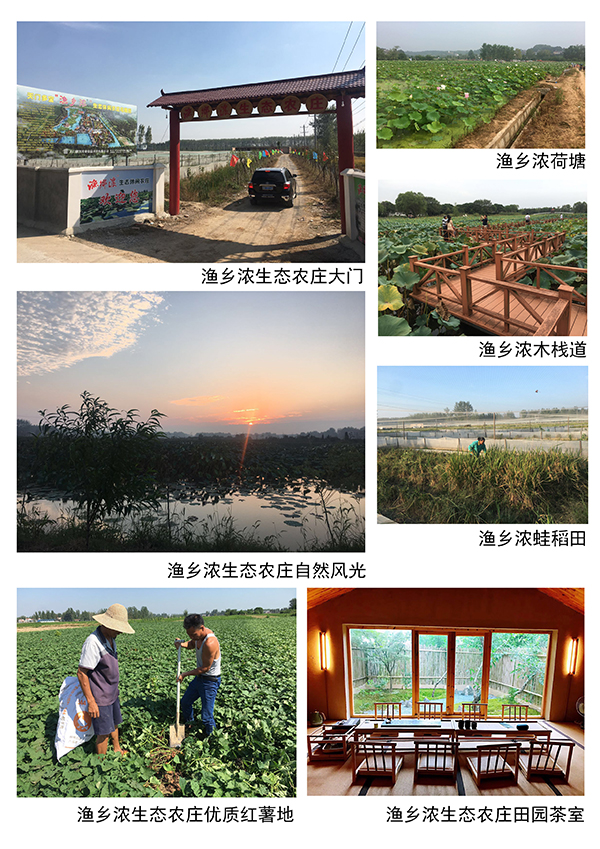 多宝“渔乡浓”生态休闲农庄设施景观.jpg