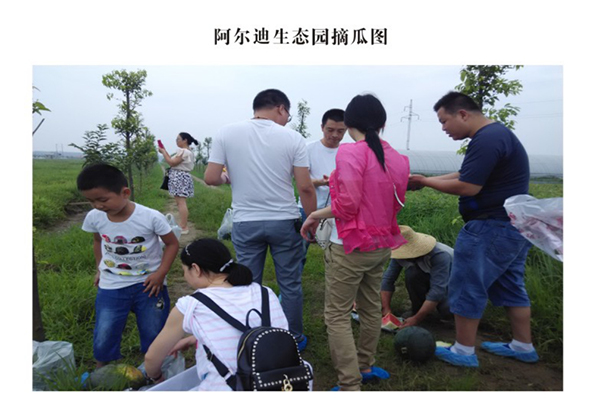 阿尔迪瓜田采瓜2.jpg