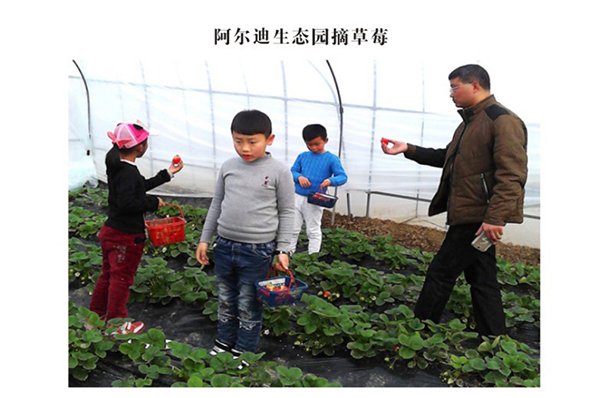 阿尔迪摘草莓.jpg