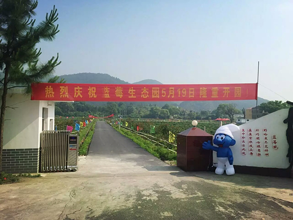 蓝莓基地大门.jpg