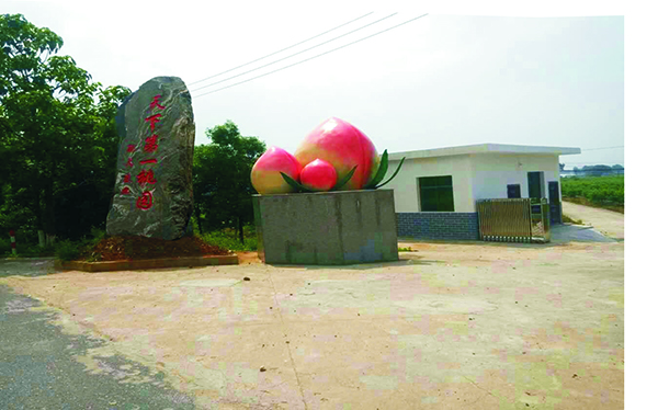 水蜜桃基地大门.jpg