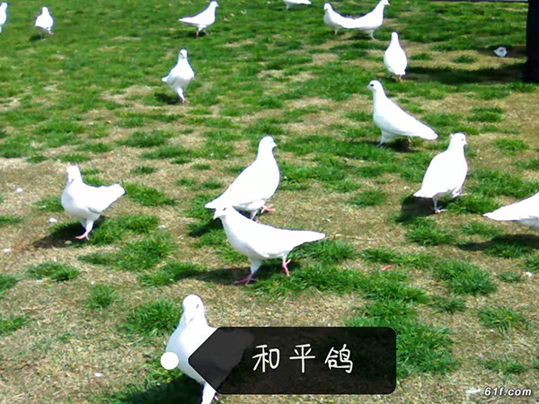 微信图片_20190305104747.jpg