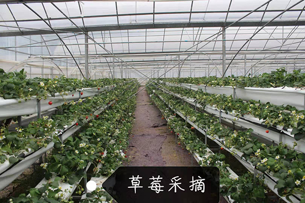 微信图片_20190305104352.jpg