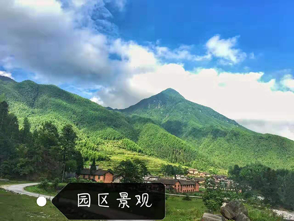 微信图片_20190305105857.jpg
