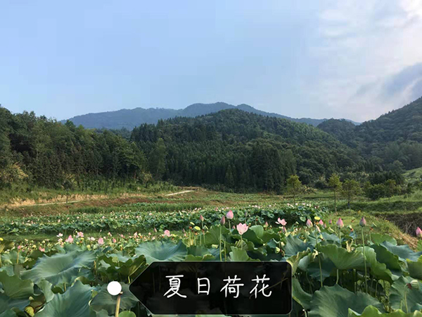 微信图片_20190305110002.jpg