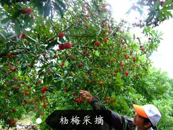 微信图片_20190305105224.jpg