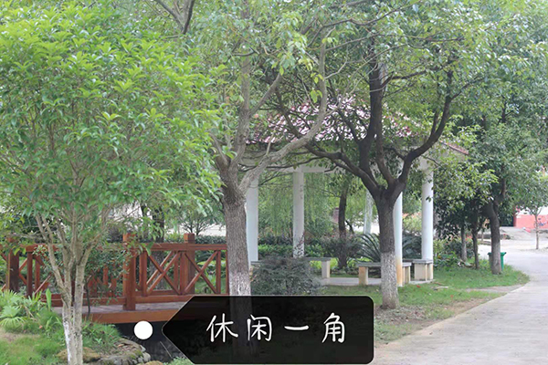 微信图片_20190305105324.jpg