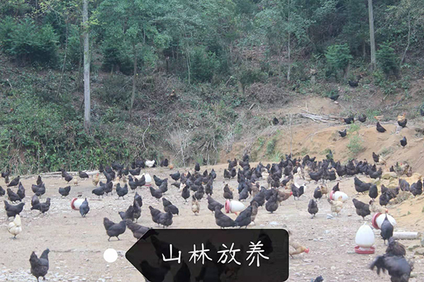 微信图片_20190305105414.jpg