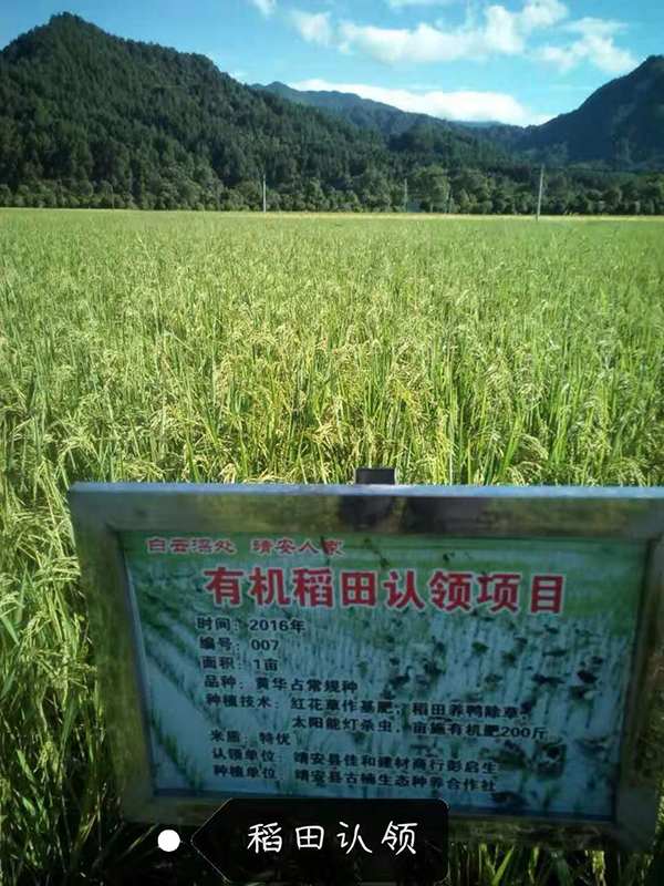 微信图片_20190305105656.jpg